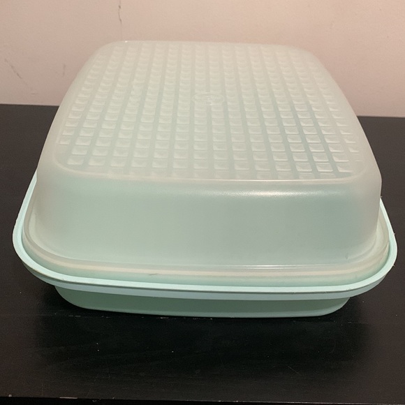 Tupperware Marinator Season N Serve Tenderizer 1295-2 Mint Green Frosted Lid VTG - Picture 2 of 12